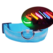 LED Pet Collar- Glows in the Dark
