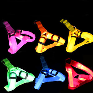 LED Harness for Small and Med Pets
