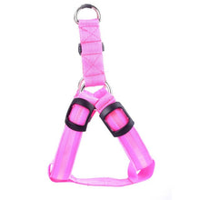 LED Harness for Small and Med Pets