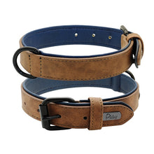 Soft Padded Leather Pet Collar